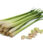 lemon grass 300x300 1