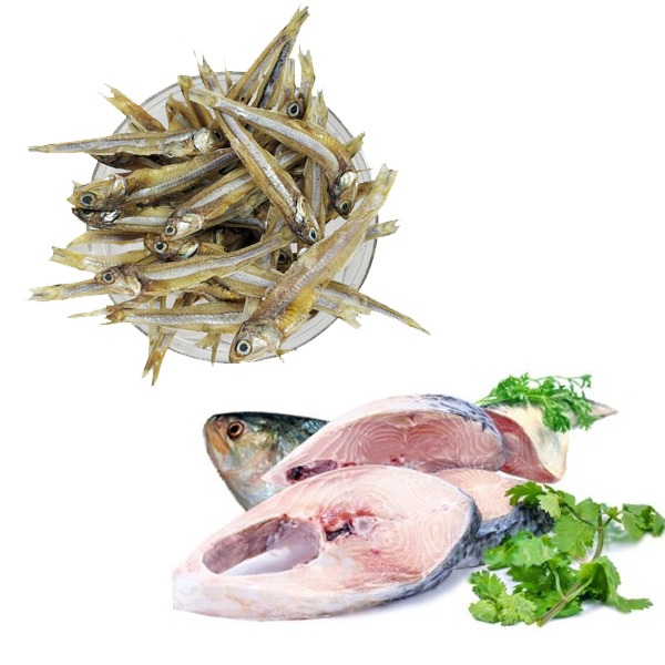 chicken leg piece 500x500 1 copy